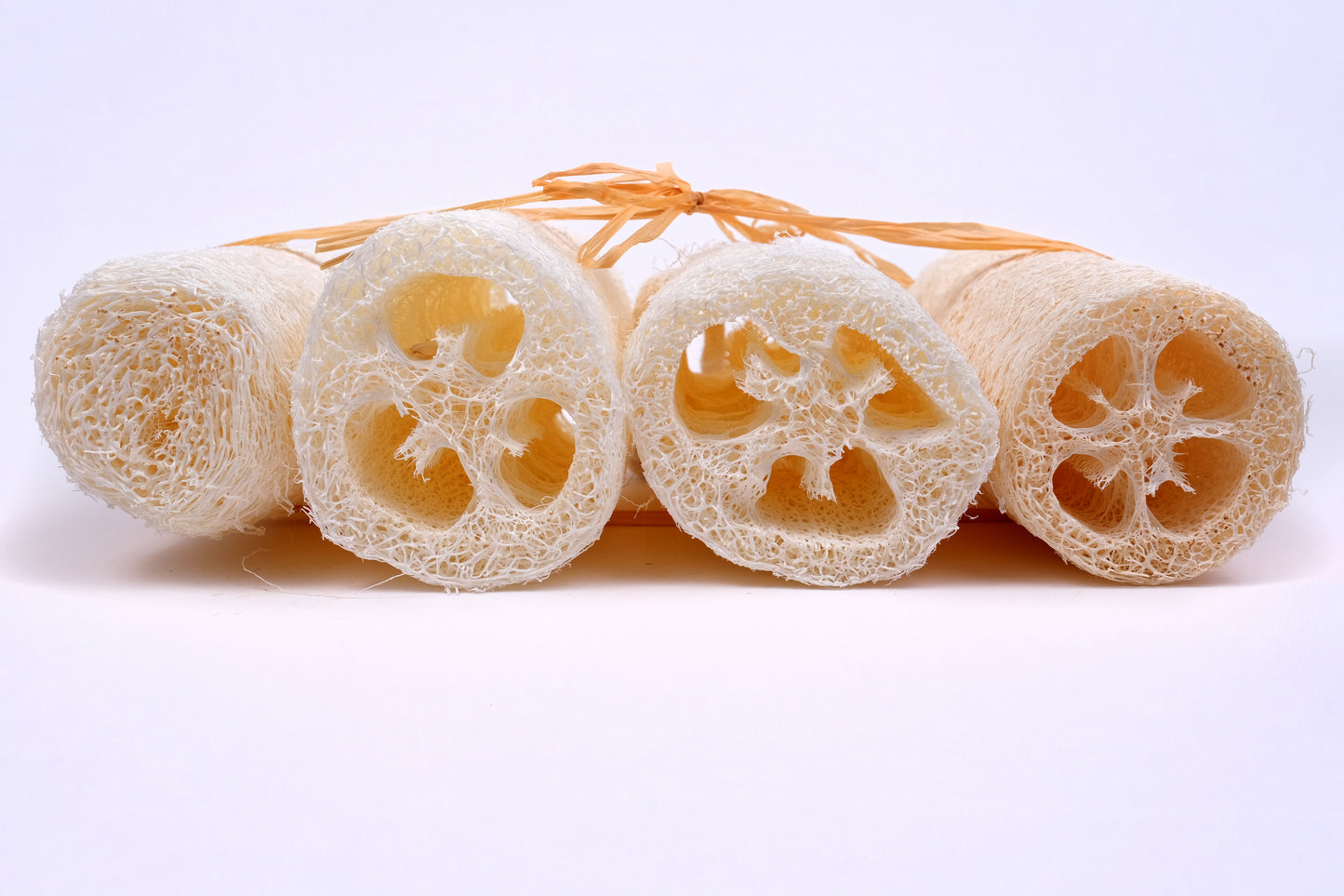 4 PACK LOOFAH SPONGES 4 ÉPONGES LOOFAH EN PACK
