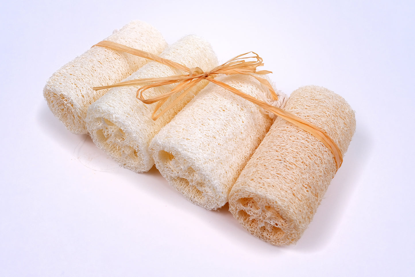 4 PACK LOOFAH SPONGES 4 ÉPONGES LOOFAH EN PACK
