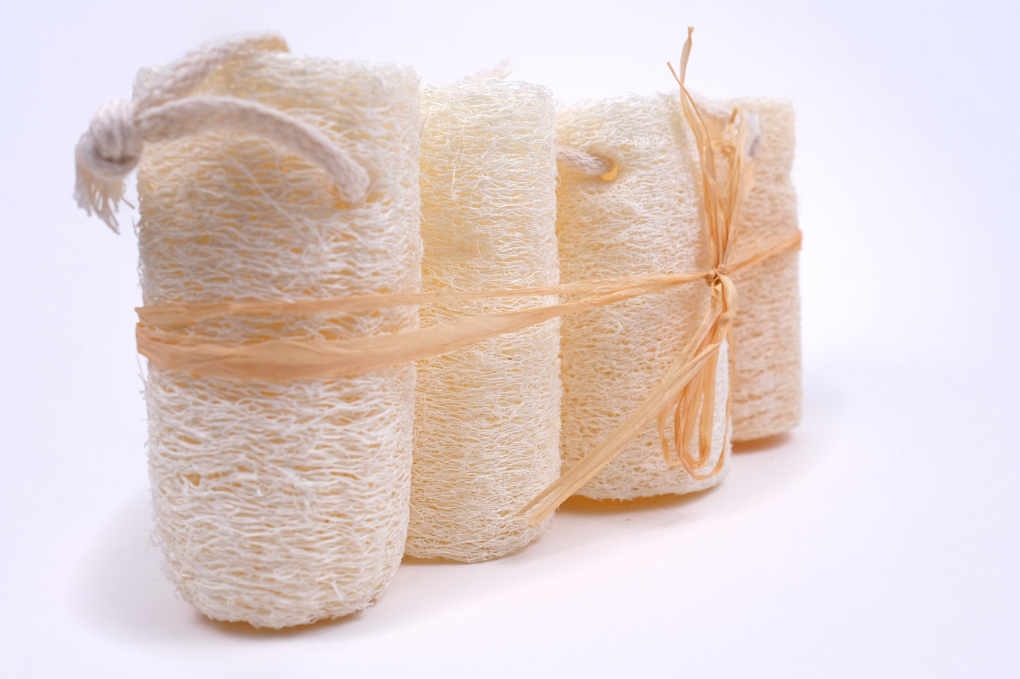 4 PACK LOOFAH SPONGES 4 ÉPONGES LOOFAH EN PACK
