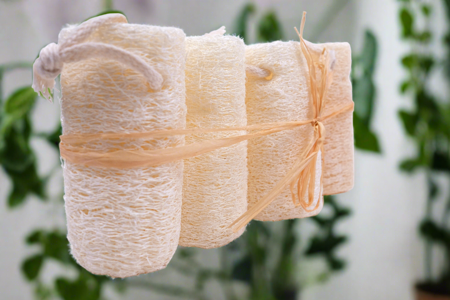4 PACK LOOFAH SPONGES 4 ÉPONGES LOOFAH EN PACK