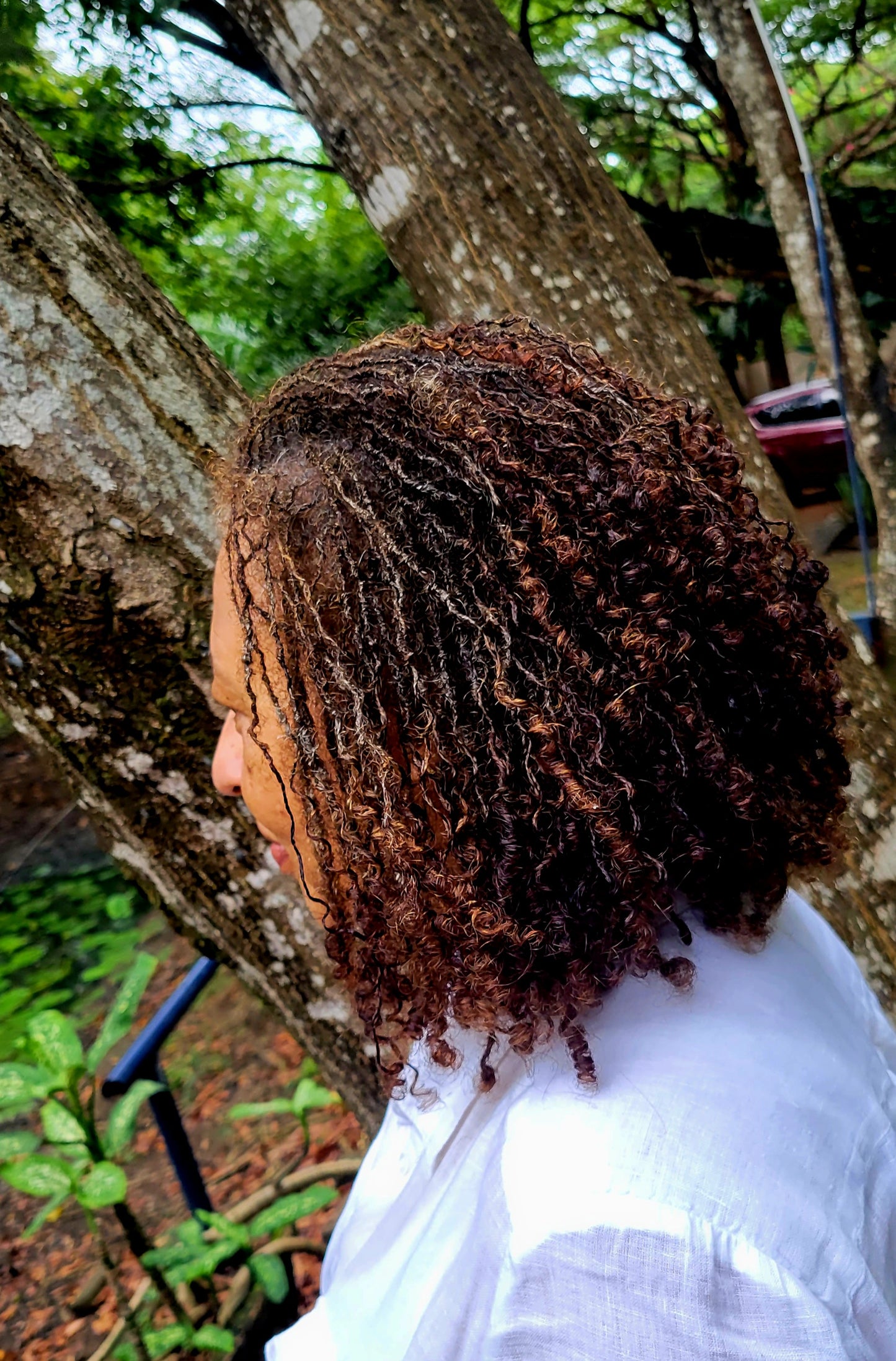 Shea and Castor Oil Masque 340G