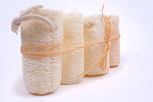 4 PACK LOOFAH SPONGES   4 ÉPONGES LOOFAH EN PACK